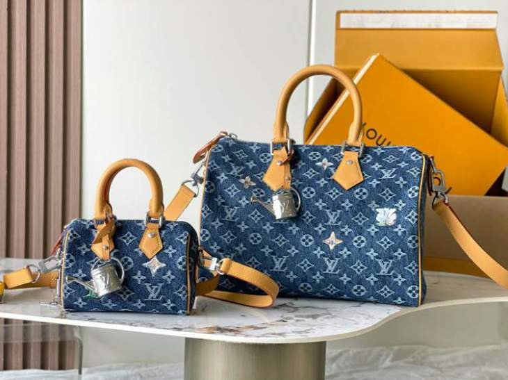 Picture of Louis Vuitton Handbags _SKUfw242730245fw